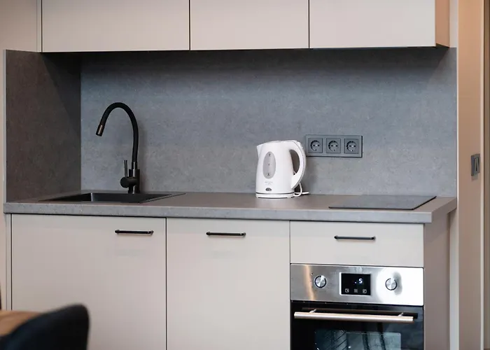 Brand New Urban Lofts By Reside Baltic