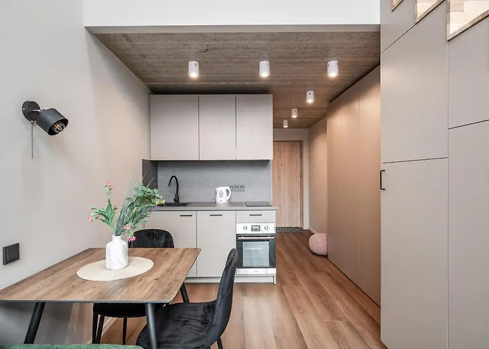 Brand New Urban Lofts By Reside Baltic Βίλνιους